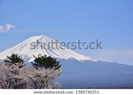 Fuji mountain with cherry blossom full blooming at lake Kawaguchiko, Japan.