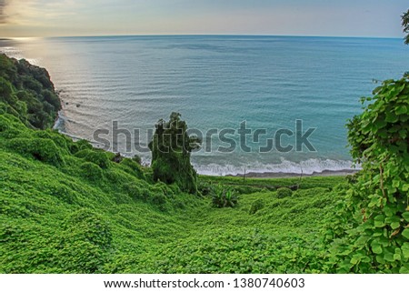 green cape, Georgia. beautiful coast of the Black Sea