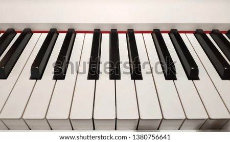 Piano musical instrument with black and white keys