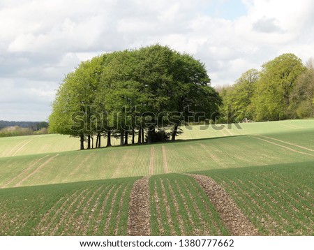 Beautiful copse of trees in green field in the Chiltern Hills near Latimer, Buckinghamshire Royalty-Free Stock Photo #1380777662