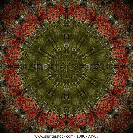 Kaleidoscope effect applied on an image of flowers and trees