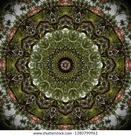 Kaleidoscope effect applied on an image of flowers and trees