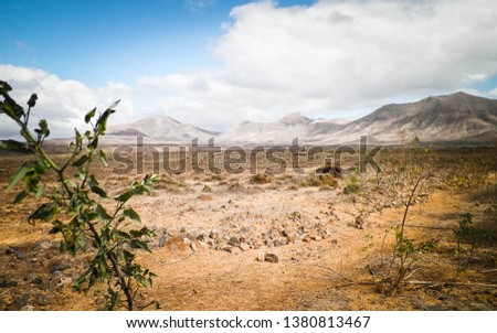 Desert - Typical landscape of Lanzarote, Canary Islands. Travel and nature concept.