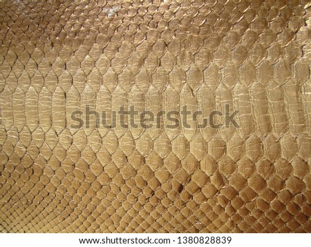 Gold python skin. The texture of genuine leather.