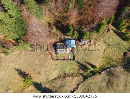 small hut or house in the forest. aerial view