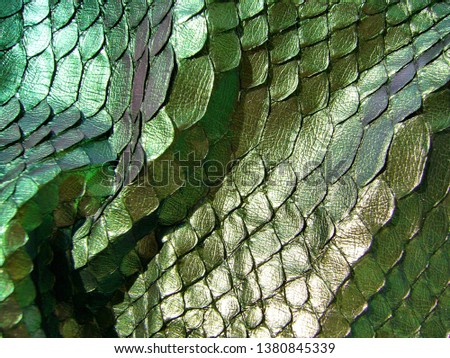 Green python skin with a pattern. The texture of genuine leather.