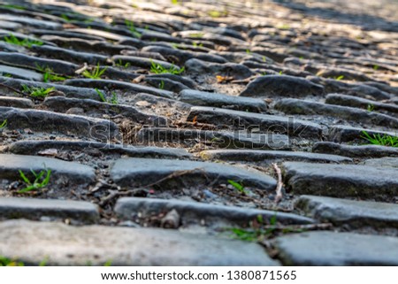Detail image of a cobblestone road. 