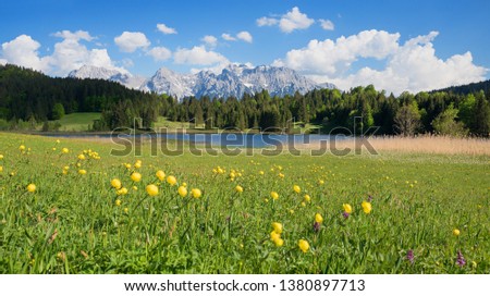 pictorial spring landscape, wetlands around lake geroldsee with trollius flowers and karwendel mountain view Royalty-Free Stock Photo #1380897713
