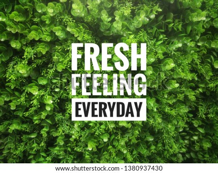green grass. small leaf background texture. green lawn texture background  with a quote fresh feeling everyday stock photo -image