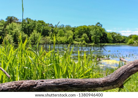 Beautiful shot of a lake, taken behind a log nearby.
