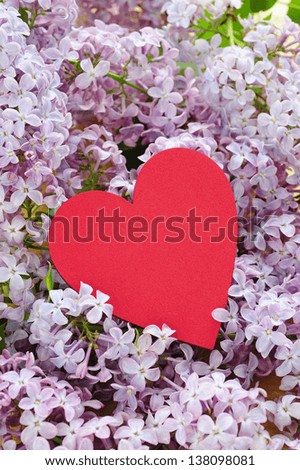Heart in lilac flowers