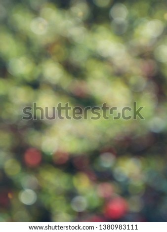 Abstract background of forest bokeh, missed focus
