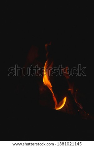Flames of fire on a black background. Bonfire in the night. Firewood on fire.