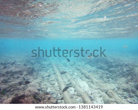 Diving on Guam, coral reef sea bed, water surface underwater, tropical fish, pipes on ocean floor
