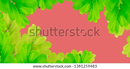 Creative nature layout made of tropical leaves and flowers. Flat lay. Summer concept. 
