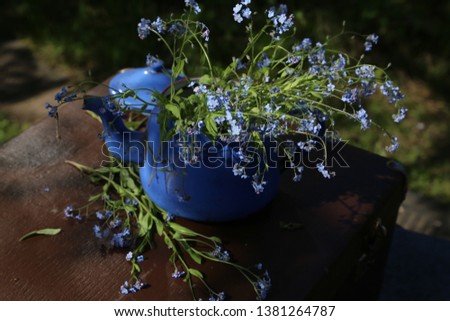 Myosótis blue flowers, yellow flowers and a blue teapot in a vintage suitcase