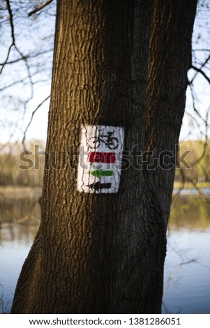 Bike sign on the tree