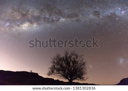 starry night and milky way over tree