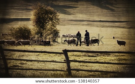 abstract vintage european farmland with goat and shipper