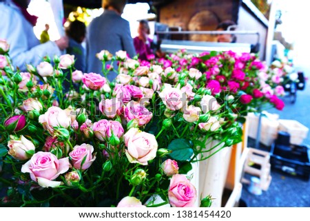 Many roses, such as white, orange, red, pink, put in pots Sold in the morning market beside the Chapel Bridge in Lucerne, Switzerland.                         