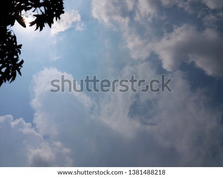 Tree and clouds with sunlight shining and blue sky background.