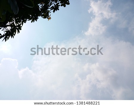 Tree and clouds with sunlight shining and blue sky background.
Sky clouds background.
Natural beautiful midday sky background and copy space concept.