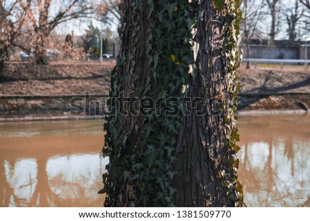 Nature wins over a polluted rived Royalty-Free Stock Photo #1381509770