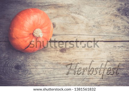 Orange pumpkin is lying on a rustic wooden table. "Herbstzeit"