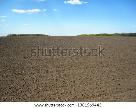 This photo shows the landscape. Background field, black soil, sky and trees.