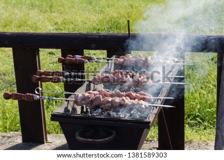 Shish kebab is fried on the grill. Summer picnic in nature. Roast beef and pork. White smoke close-up. Vacation in the country.