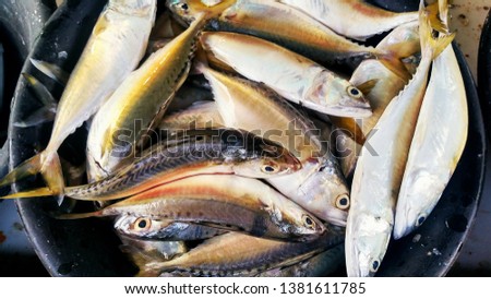 a picture of fish on traditional market 