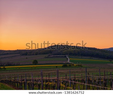 A photo of a really nice landscape, picture was taken during the golden hour. There is a road, going into the forest on the hill. 