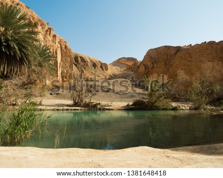 Mountain oasis Chebika , Tozeur, Tunisia / Djebel el Negueb mountains Royalty-Free Stock Photo #1381648418