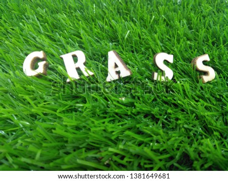 Top View of a land vast expanse of  Green Grass Field . Fresh lawn nature. Seamless Realistic Imitation Natural grasses textures with wooden alphabetical GRASS word letters horizontal Copy space empty