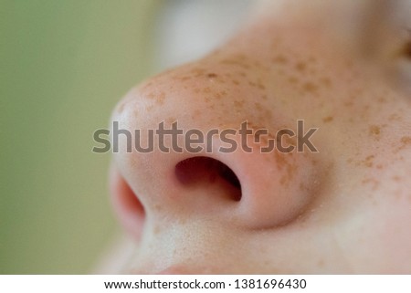 Closeup of a young human nose showing the nostrils