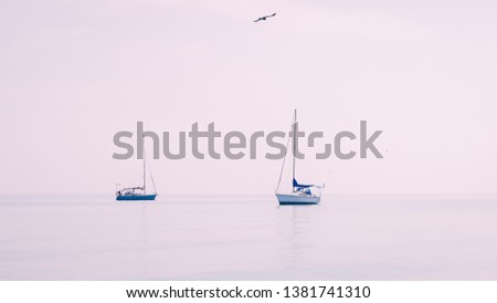 Sailboats in the sea in the noon over skyline, luxury summer adventure, vacation in Toronto.
