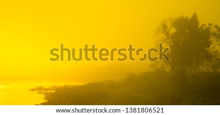 Yellow nature silhouette for background 