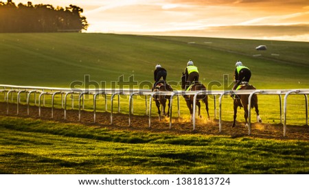 Newmarket Town in England is the racehorse capital of the world for breeding and training dating back 350 years. Training can be seen 6 days a week on Warren Hill. Royalty-Free Stock Photo #1381813724