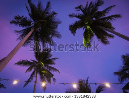 Coconut trees with sky at dawn background. 