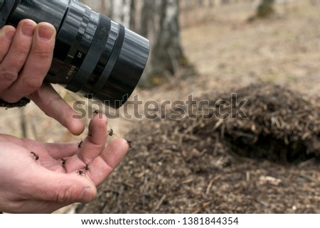 A man holding a camera and taking pictures of ants. A man tries to touch an ant with his finger.