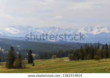 Beautiful landscape with snowy mountain peaks  and green grassy fields and coniferous trees on the hills.