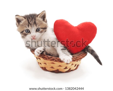 Kitten in a basket  with the heart isolated on a white background.