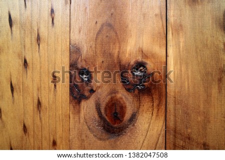 Amazing Puppy Look a Like Natural Pattern of the Wooden Outer Wall