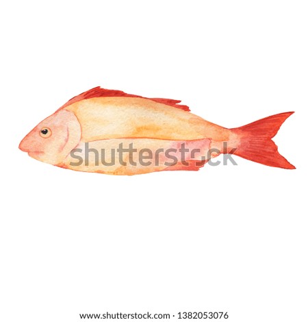 Fresh pink fish isolated on white background. Hand drawn watercolor illustration.