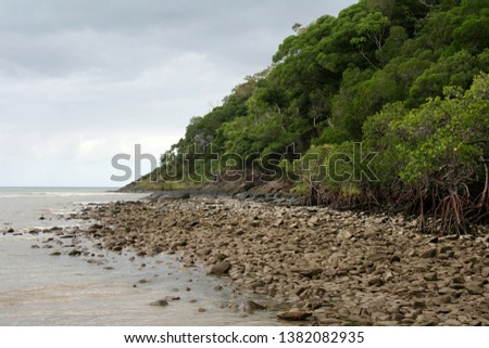 Mangrove Beach at Bloomfield Track in North Queensland, Daintree Rainforest, Cape Tribulation, Australia 