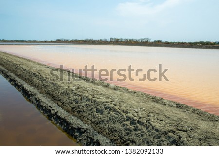 Ridge of the salt field on sunny day, country rural of thai people