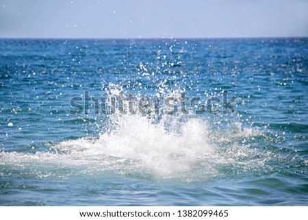 Splash in the sea. Texture or background. Spray , water fountain.