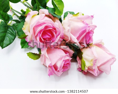 Beautiful White and Pink roses 