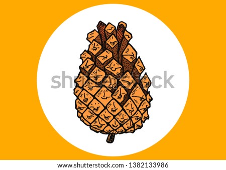 hand-drawn pine cone one piece
