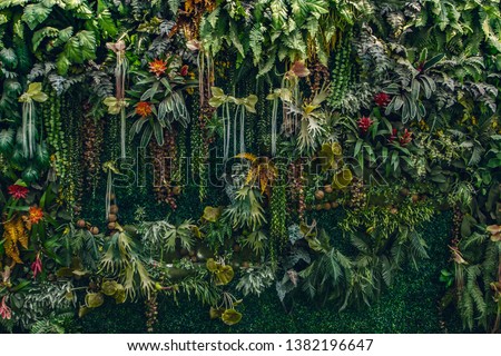 fern and plant decorate on wall Royalty-Free Stock Photo #1382196647